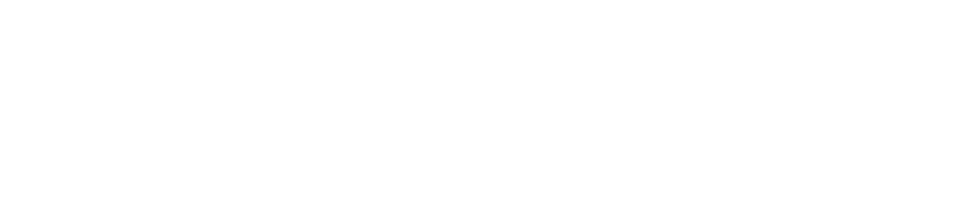 logo footer udss