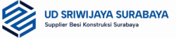 logo udss